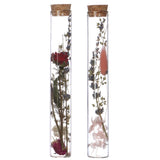 Glass tube with 2 different dried flowers Ø3cm (12 pcs.) [IFS