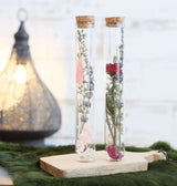 Glazen buis met 2 diverse droogbloemen Ø3cm, H: 20cm - 12 st