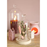 Glazen stolp met hartje, houten basis Ø10 h.18 cm - 1 stuk