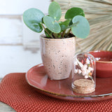 Glazen mini stolp Ø40 mm H.60 mm met kurk - 6 st