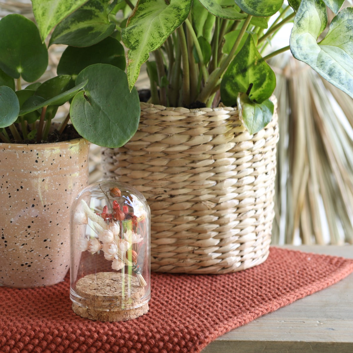 Glazen mini stolp Ø40 mm H.60 mm met kurk - 6 st