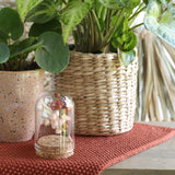 Glazen mini stolp Ø40 mm H.60 mm met kurk - 6 st