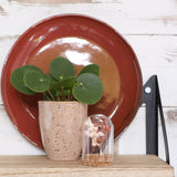 Glazen mini stolp Ø40 mm H.60 mm met kurk - 6 st