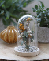 Glazen Stolp met houten voet Ø120 mm H.160 mm - 1 st.