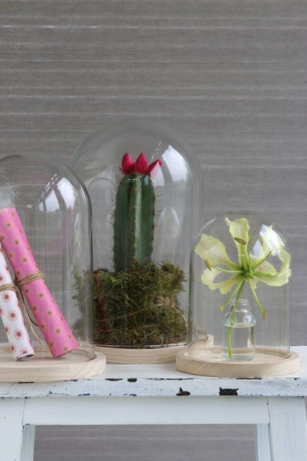 Glazen Stolp met houten voet Ø140 mm H.210 mm - 1 st.