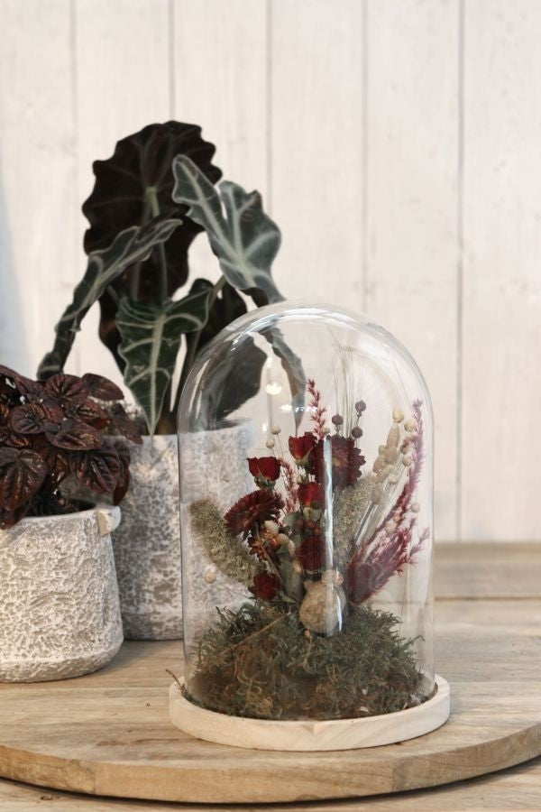 Glazen Stolp met houten voet Ø170 mm H.250 mm - 1 st.