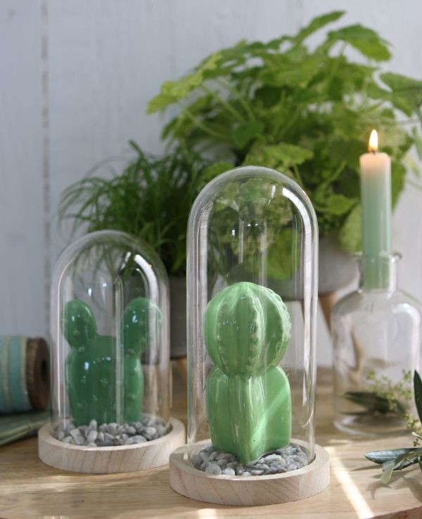 Glazen Stolp met houten voet Ø100 mm H.150 mm - 1 st.