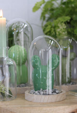 Glazen Stolp met houten voet Ø100 mm H.150 mm - 1 st.