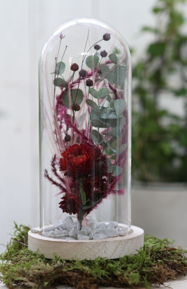 Glazen Stolp met houten voet Ø100 mm H.200 mm - 1 st.