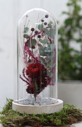 Glazen Stolp met houten voet Ø100 mm H.200 mm - 1 st.