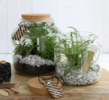 Glazen Pot met Kurk Dop 140x150mm - 1 st