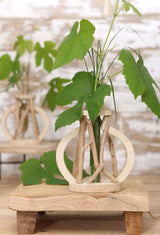 Reageerbuisje met standaard van drijfhout groot - 1 st