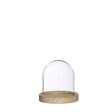 Glass Dome with Wooden Base 100x100mm 