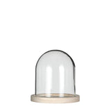 Glass Dome with Wooden Base 120x130mm 
