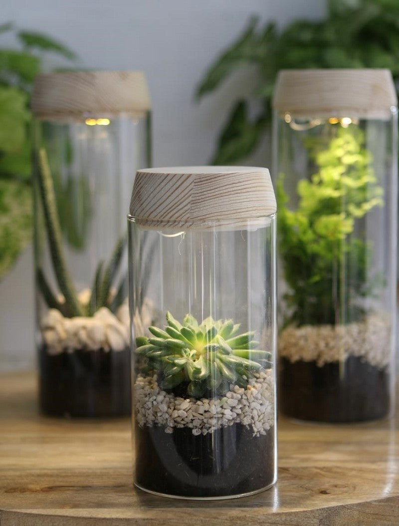 Reageerbuisje Ø80 h: 180 mm met licht + zonnepaneel kurk - 1 stuk