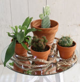 Spiegelplaat rond Ø 40cm afgeschuinde rand - st