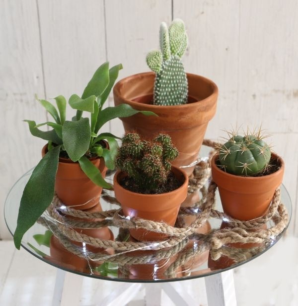 Spiegelplaat rond Ø 30cm afgeschuinde rand - st