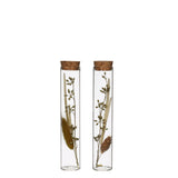Glass tube with several dried flowers natural 15cm high 
