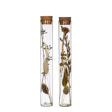 Glass tube with several dried flowers natural 20cm high 