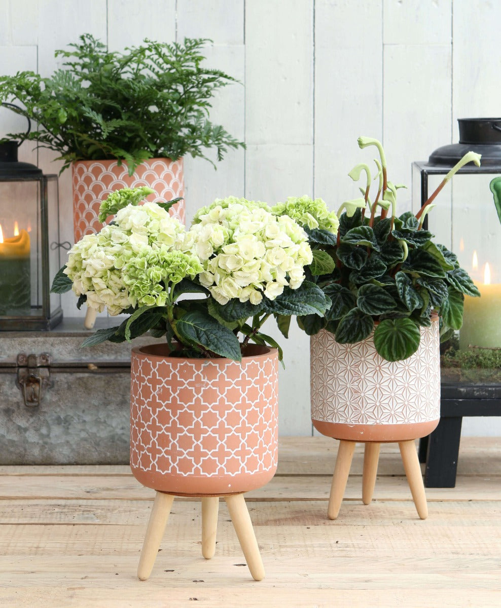 Plantenpot Terra cement met houten poten 21,5cm hoog - 6 st