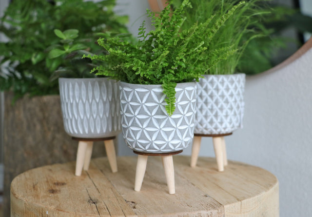Plant pot Cement with wooden legs 11cm high 