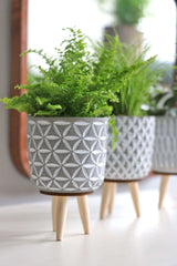 Plantenpot Cement met houten poten 11cm hoog - 6 st