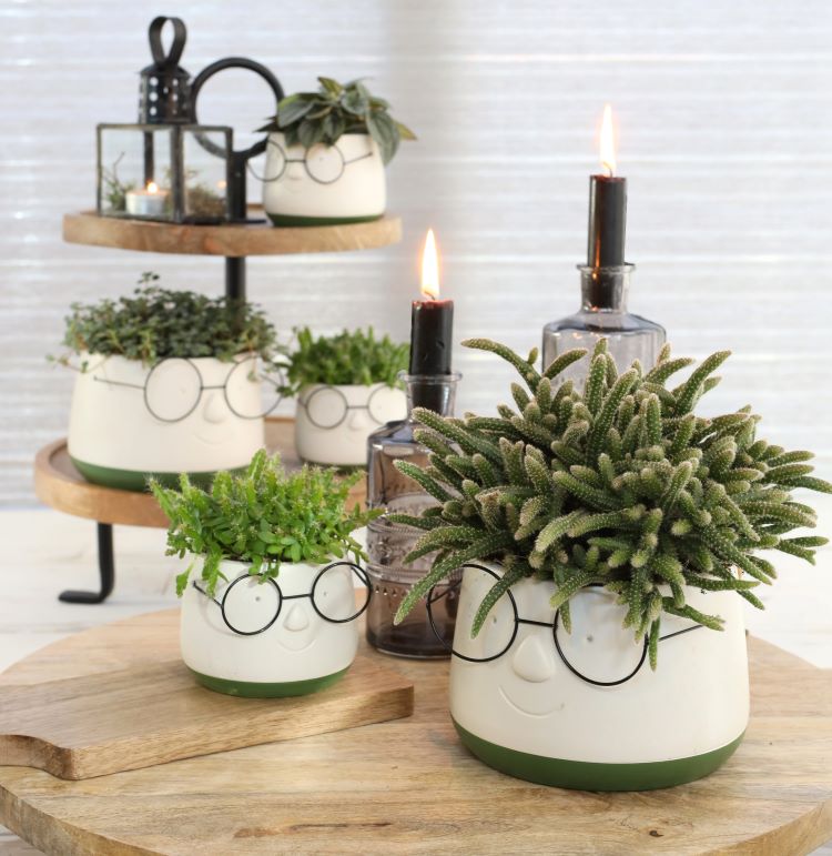 Pot met Brill Ø160 h: 115 mm - 3 stuks