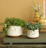 Pot met Brill goud Ø85 h: 65 mm - 6 stuks