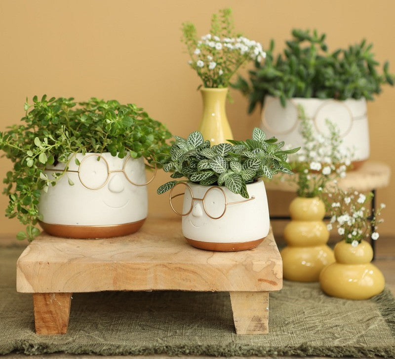 Pot met Brill goud Ø120 h: 90 mm - 6 stuks