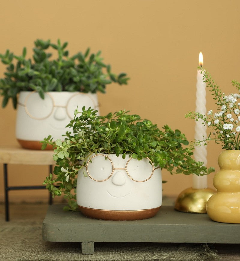 Pot met Brill goud Ø120 h: 90 mm - 6 stuks