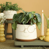 Pot met Brill goud Ø135 h: 105 mm - 6 stuks