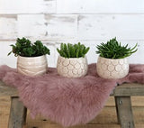 Plantenpot Mila craquele glazuur Creme 7cm hoog - 9 st