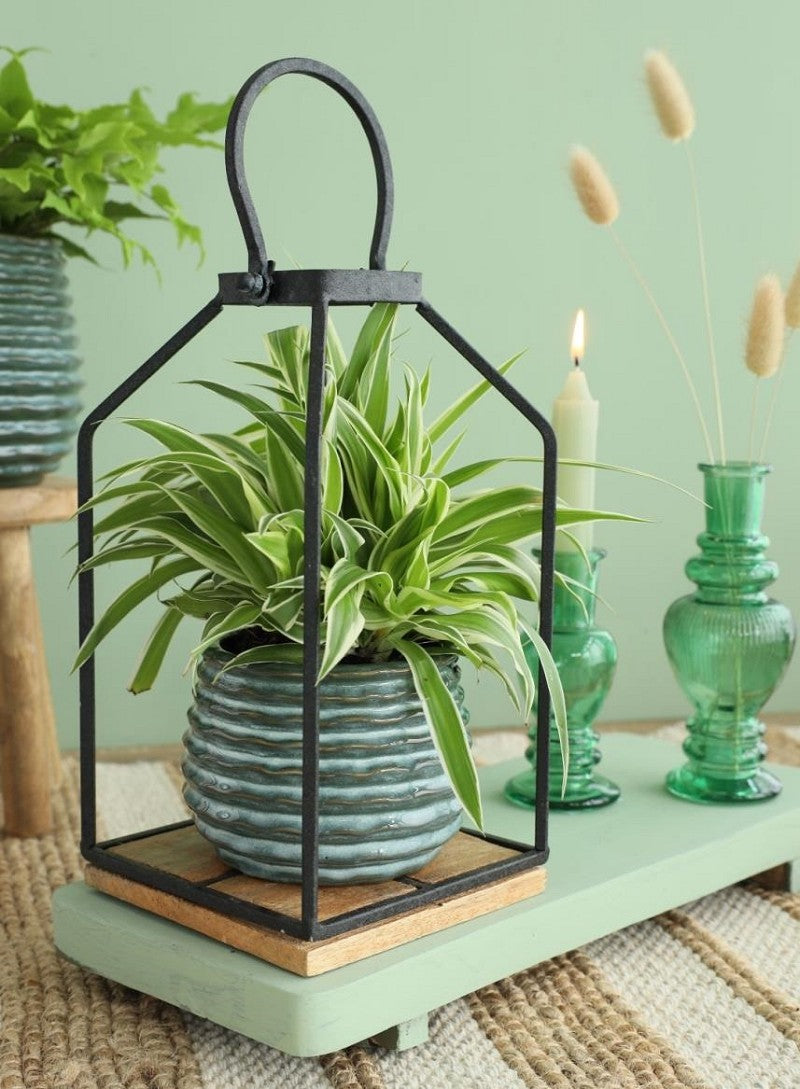 Pot Donker Groen Rise Ø65 x h: 80 mm - 12 stuks