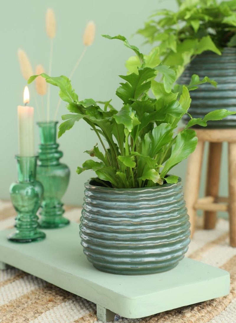 Pot Donker Groen Rise Ø85 x h: 115 mm - 9 stuks