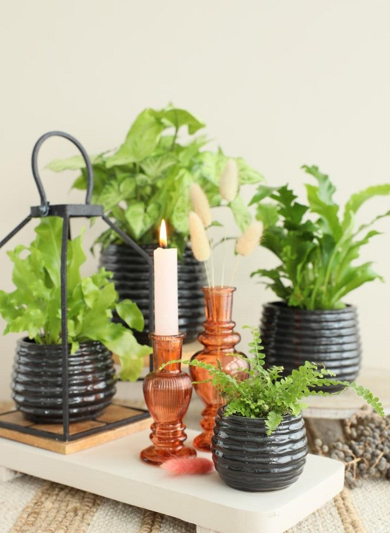 Pot Zwart Antraciet Rise Ø65 x h: 80 mm - 12 stuks