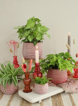 Pot Roze Carmine Rise Ø100 x h: 135 mm - 6 stuks