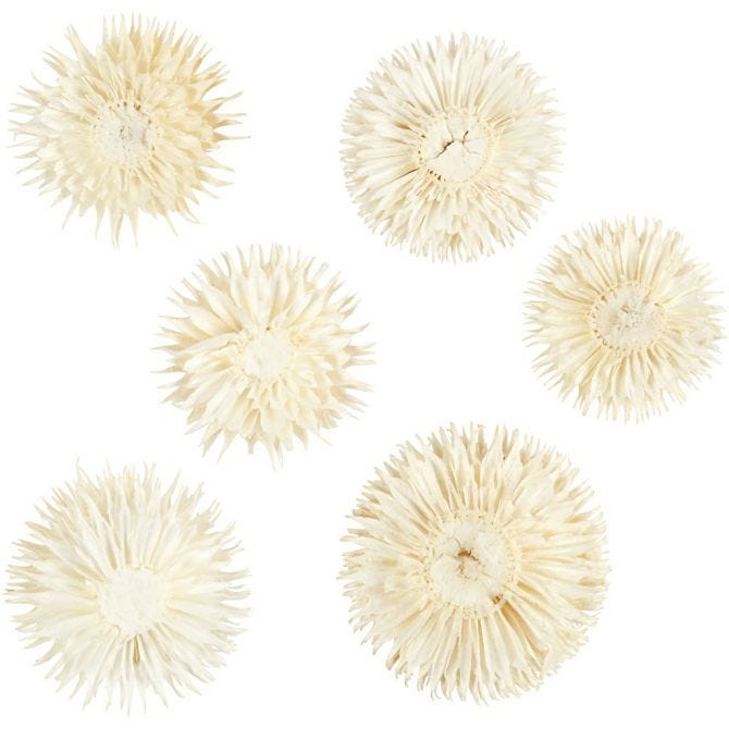 Gedroogde bloemen, d: 3-5 cm - 6 st