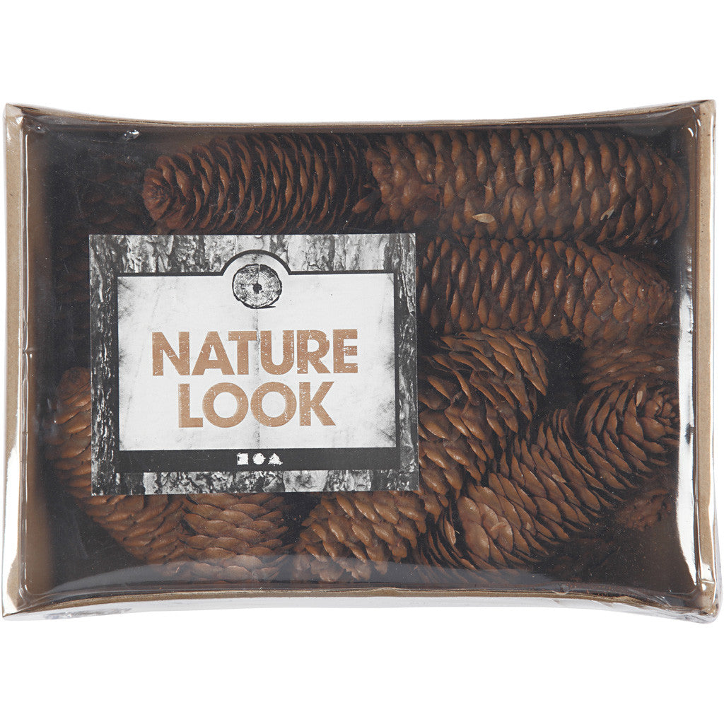 Dennenappel Kegel Ø 40mm - 300 gram