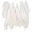 Feathers, approx. 15 cm, white 