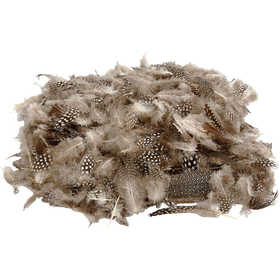 Veren van parelhoen, 50 gr - 1 doos