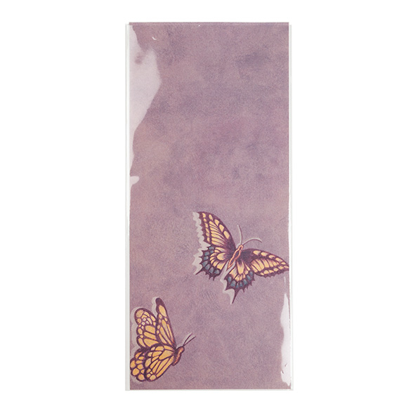 Milieuvriendelijke Zakjes Bioplastic 110x243mm - 100 st