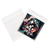 Eco Clear Envelopes Bioplastic 170x167mm 