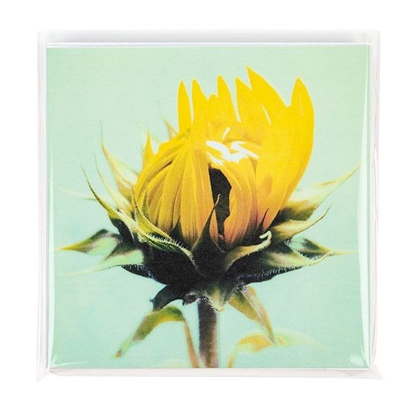 Milieuvriendelijke Zakjes Bioplastic 170x167cm - 100 st