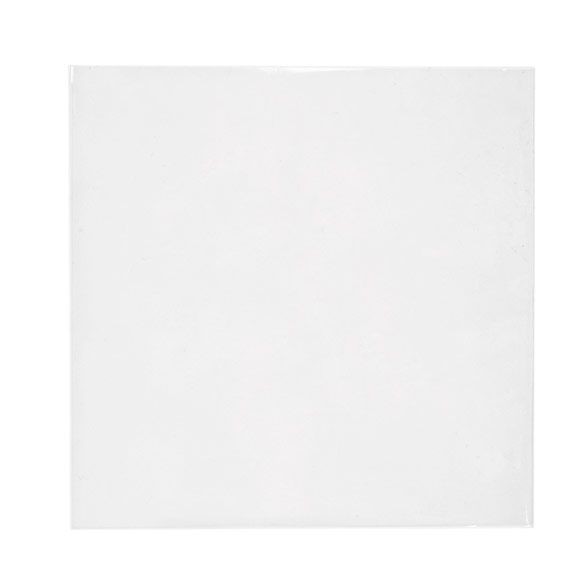 Milieuvriendelijke Zakjes Bioplastic 170x167cm - 100 st