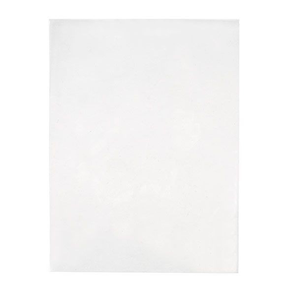 Milieuvriendelijke Zakjes Bioplastic 229x305mm - 100 st