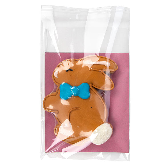 Milieuvriendelijke Zakjes Bioplastic 151x222mm - 100 st