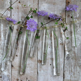 Glazen reageerbuis met ring 15x100 mm - 12 st