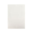 Kraft Bags White Eco