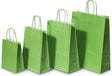 Paper Carry Bags Green 320+120x410mm 