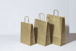 Paper Carry Bags Gold 260+120x350mm 